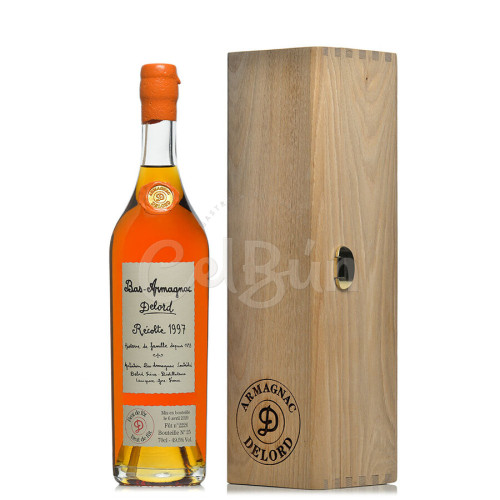Armagnac Delord Récolte 1995 49,5% - 0.70 L