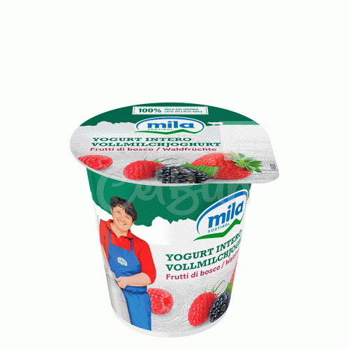 Iaurt integral cu fructe de pădure Mila - 125 g