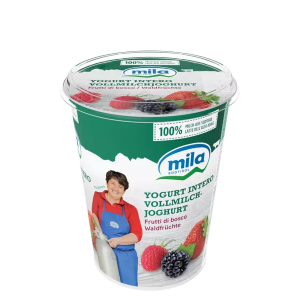 Iaurt integral cu fructe de pădure - 400g